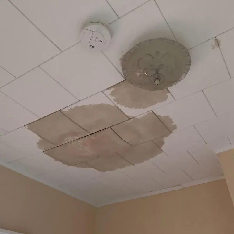 Ceiling Water Damage Repair in Princes Lakes, IN