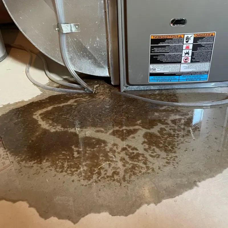 Pipe Burst and Leak Restoration in Princes Lakes, IN